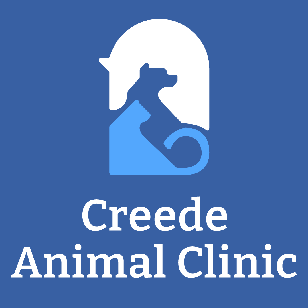 Creede Animal Clinic
