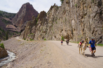 Burro Race Commodore mines Bob Seago Burro Race Commodore mines Bob Seago