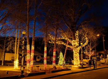 20 parade of lights 2022 brooke ashlee photography 20 parade of lights 2022 brooke ashlee photography