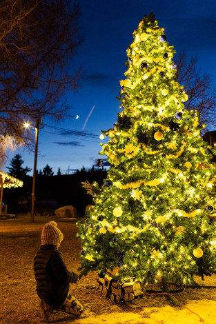 21 parade of lights 2022 brooke ashlee photography 21 parade of lights 2022 brooke ashlee photography