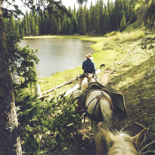 slider-horse