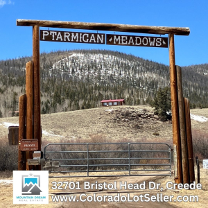 2-For sale Ptarmigan Meadows  (1)